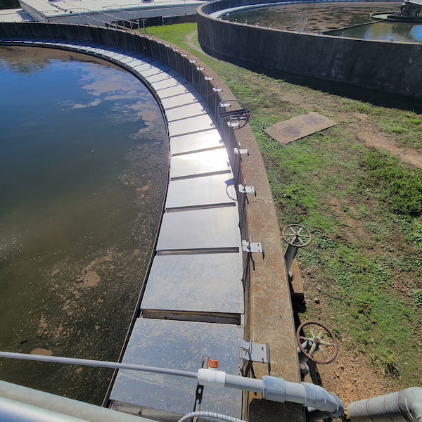 IMAGE 1: Excess of algae bloom in the tank (Images courtesy of Rebuild-it)