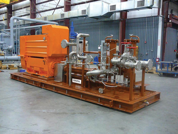 Complete fuel injection skids, such as the one pictured for combustion turbine service in power generation applications, incorporate a high-pressure rotary screw pump. These pumps can be built to meet API specifications should safety standards become more stringent.