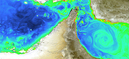 Satellite image of chlorophyll in the Strait of Hormuz