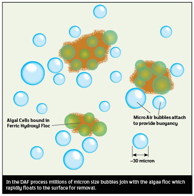 Dissolved air flotation process