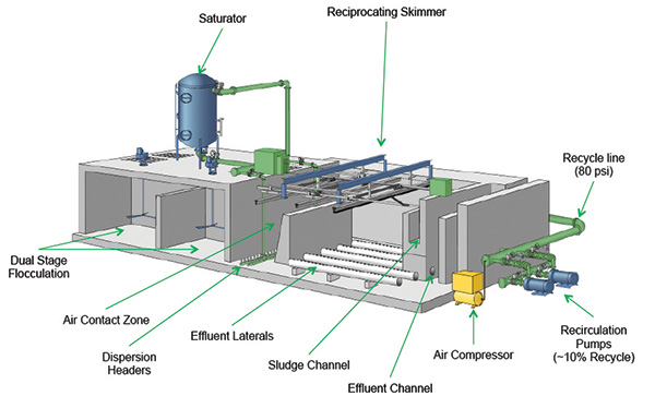 Dissolved air flotation system