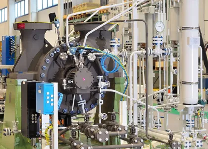 Pumping Systems Supporting the ITER Nuclear Fusion Project