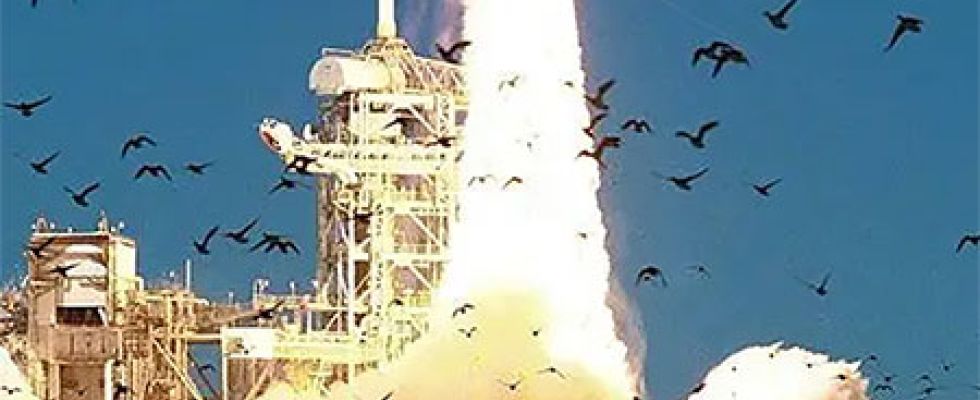 Lessons From the Space Shuttle Challenger Disaster, Part 2