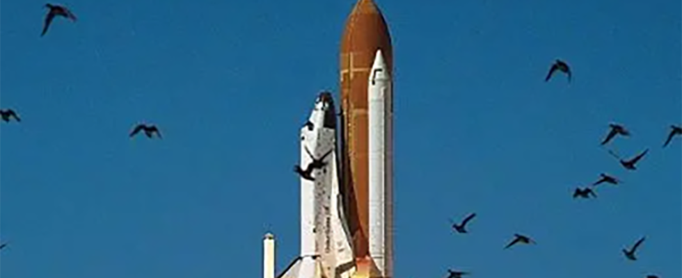 Lessons From the Space Shuttle Challenger Disaster, Part I