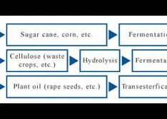 Vacuum Pumps and Compressors for Ethanol and Biodiesel Production