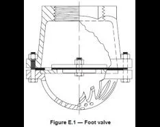 Wetted Pump Parts; Foot Valve; Simplex vs. Duplex Air-Operated Pumps