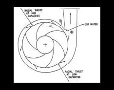 The Function of the Volute