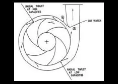 The Function of the Volute