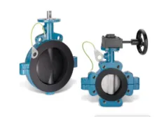 Garlock butterfly valve