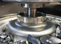 Broken Bearing Components