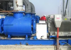 rotary pump