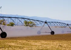 irrigation