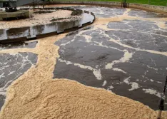 Activated sludge process at a wastewater treatment plant