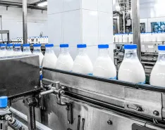 Dairy production at a processing plant