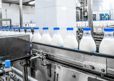 Dairy production at a processing plant