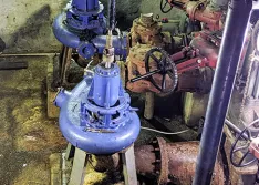 Existing dry-pit pumps in drywell 