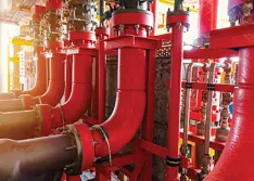 Biofouling control for firewater