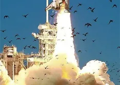 Lessons From the Space Shuttle Challenger Disaster, Part I