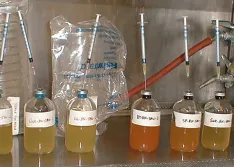 Enrichments of selenium-reducing microbial consortia identified by the red color of elemental selenium formation in the seepage water matrix 