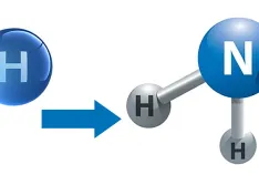 The chemical breakdown of ammonia