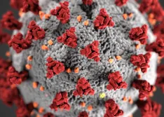 coronavirus