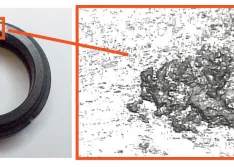 Carbon-Graphite Blistering in Mechanical Seal Faces
