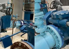 12-inch pump control valve (check valve, torque unit and electric actuator) in a water treatment facility on the  East Coast