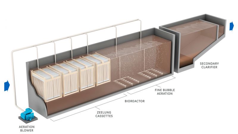 ZeeLung diagram