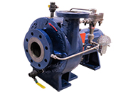 Why Choose a Tesla Disk Pump?
